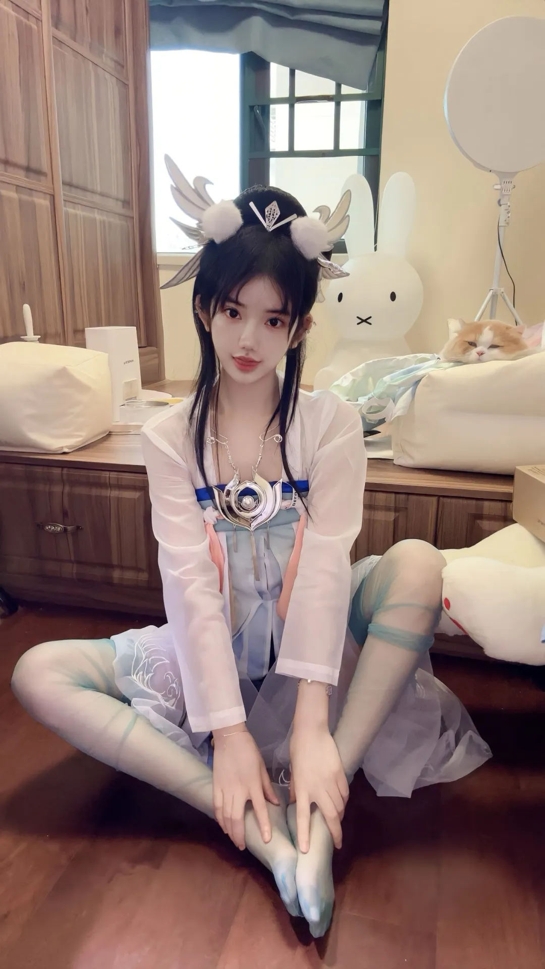 14170.webp