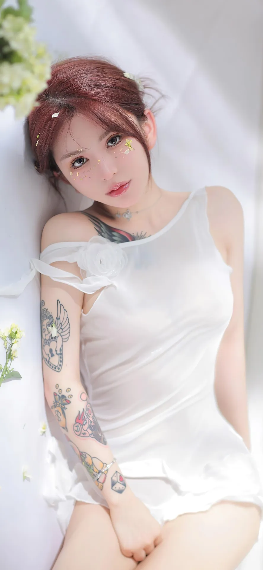 14184.webp