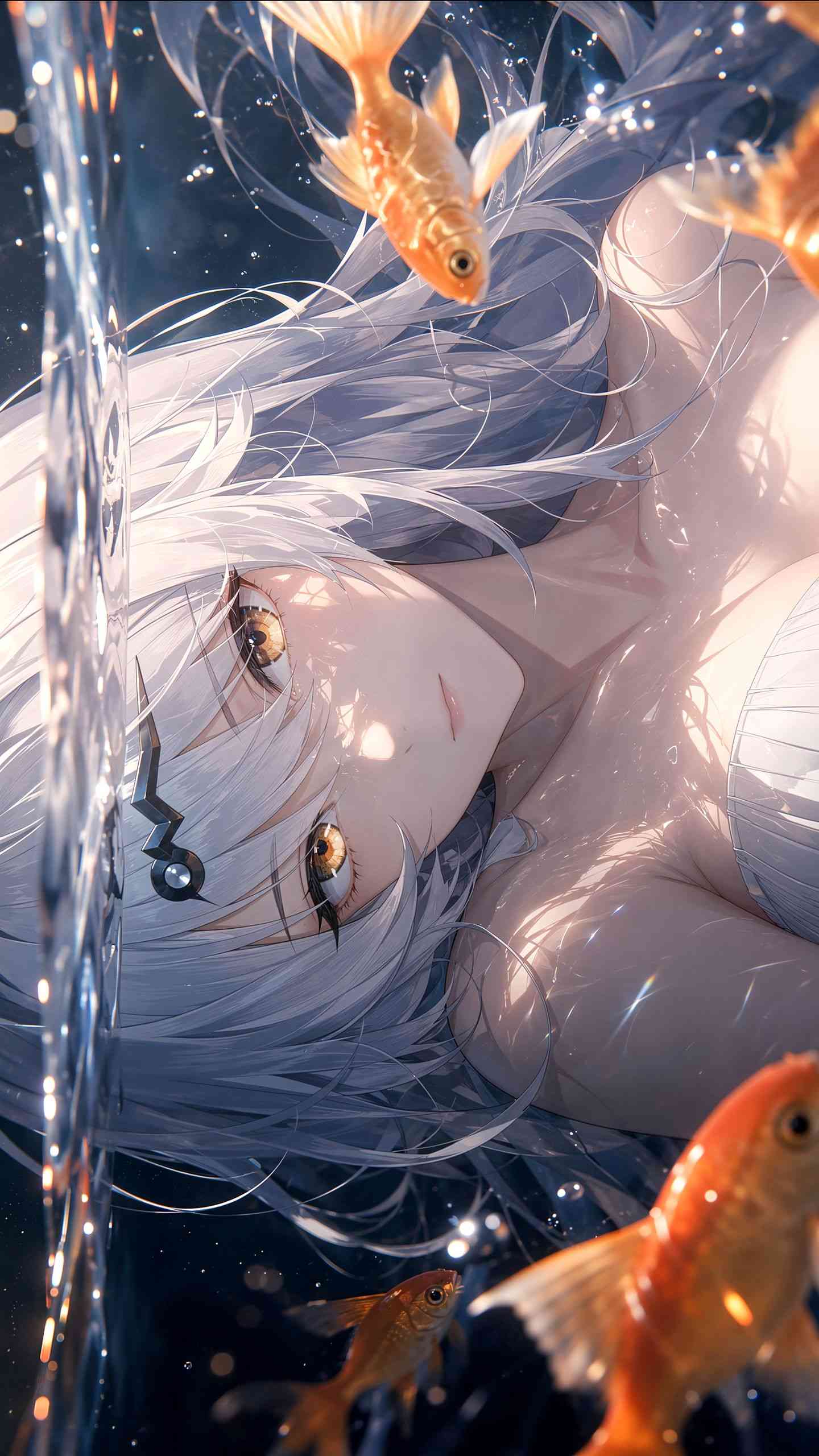 壁纸14776
